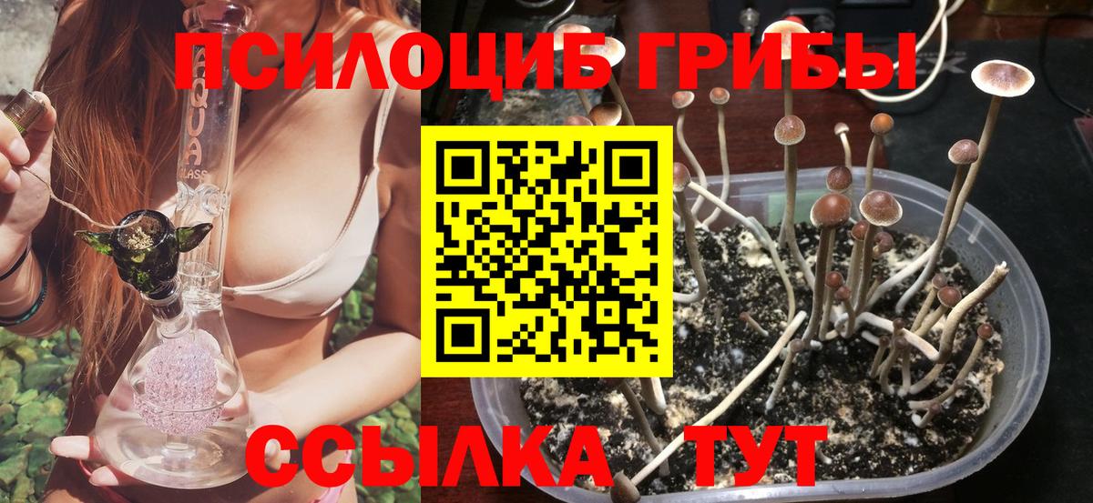 Галлюциногенные грибы Cubensis  Вход с VPN  как найти закладки  Городец 